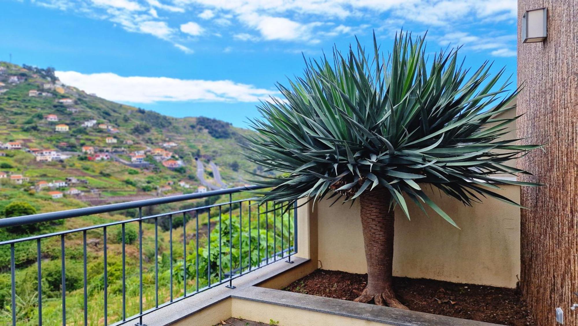 Capela'S House By Lovelystay Ribeira Brava Bagian luar foto